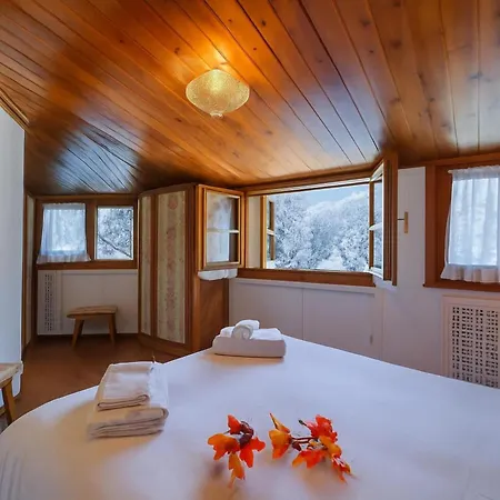 Il Rododendro Center - Happy * Bardonecchia